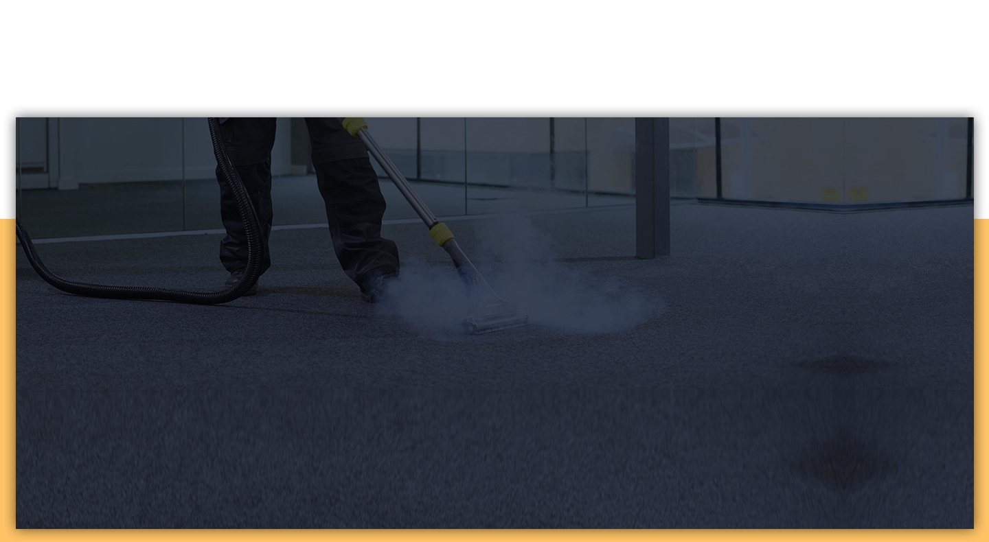 Steam Carpet Cleaning